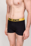 Boxer Paul Kenzie Pineapple (2)