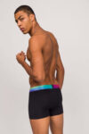 Boxer Paul Kenzie Tropical (3)